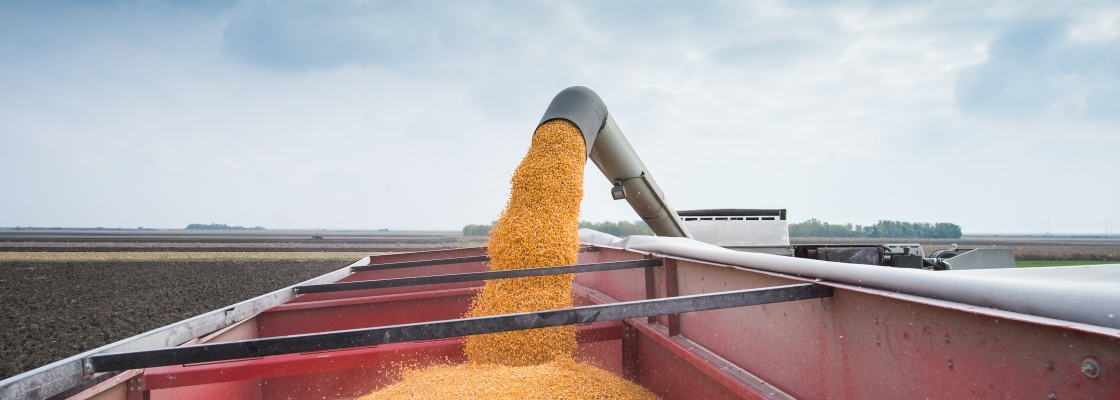 Harvest