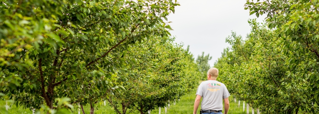 Farmers