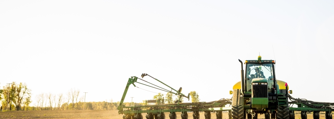 Field