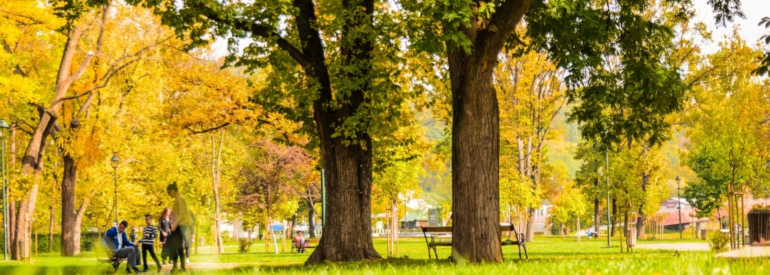 Park